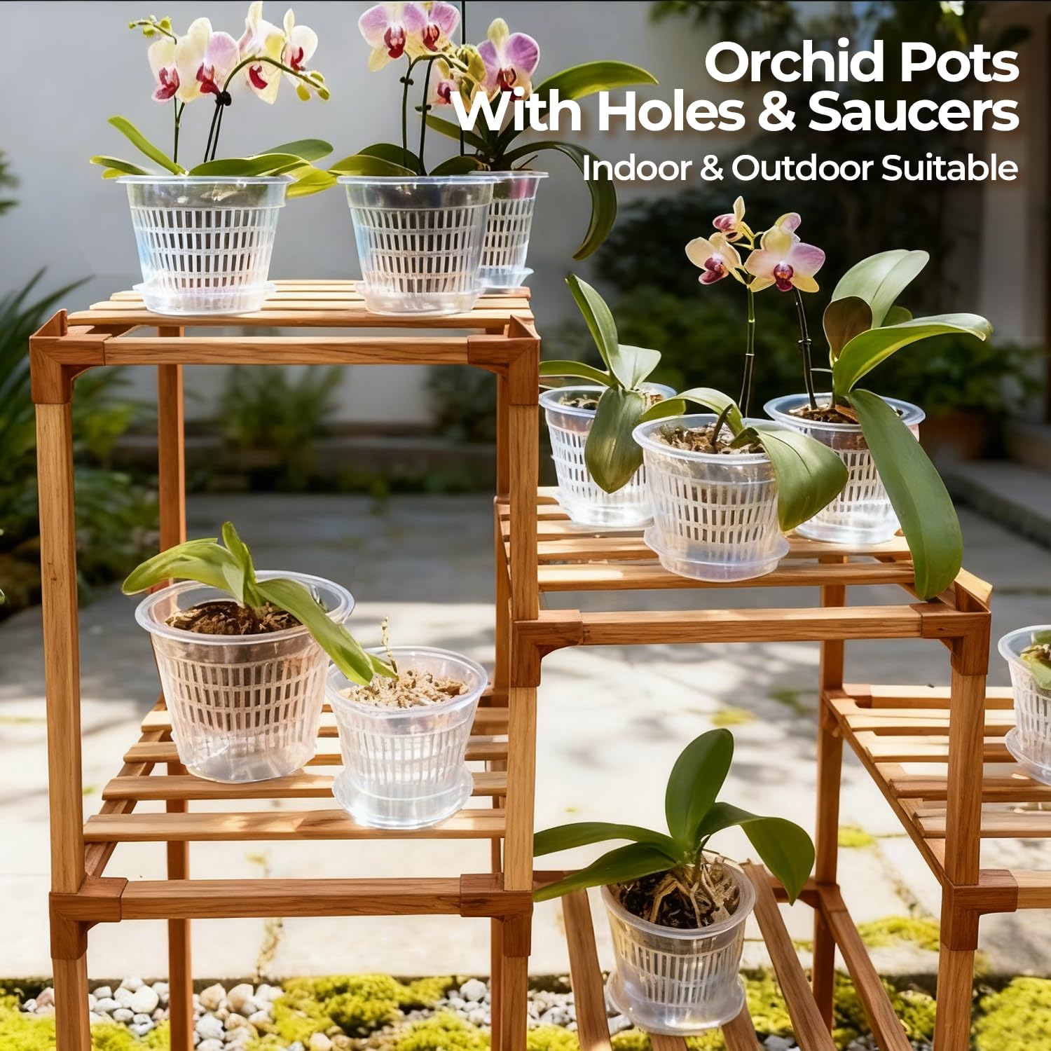 T4U orchid pot ideal for repotting orchids and small plants.