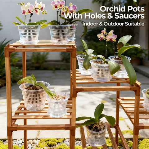 T4U orchid pot ideal for repotting orchids and small plants.