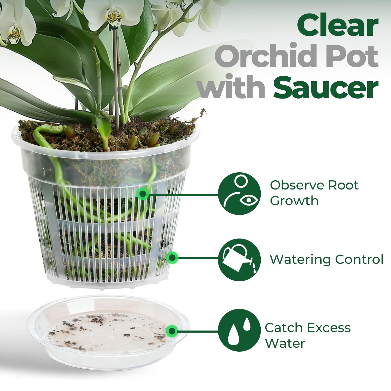 T4U orchid pot transparent view highlighting root monitoring