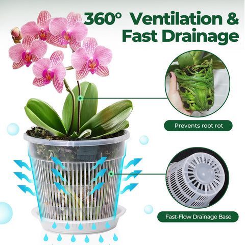 T4U orchid pot clear walls allow quick root health checks