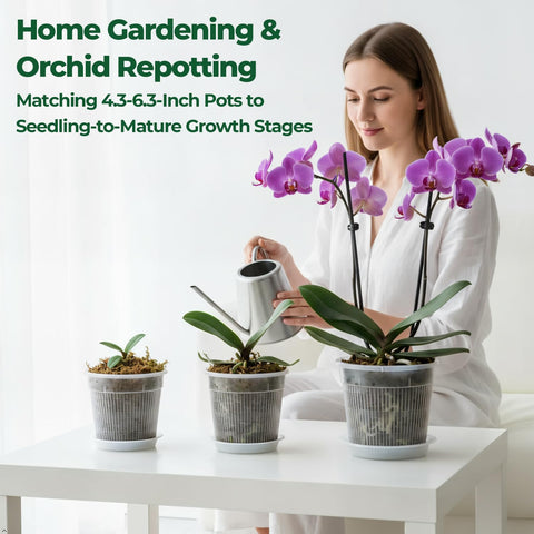 T4U Orchid Pot root-monitoring design helps precise watering decisions.