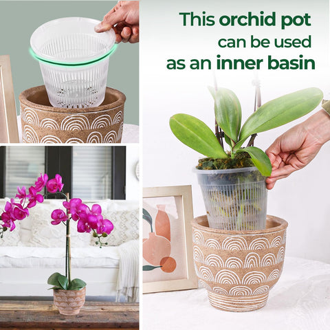 Saucers and pots help keep surfaces clean during repotting
