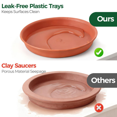 T4U 6 inch terracotta pot on windowsill pairs classic look with practicality