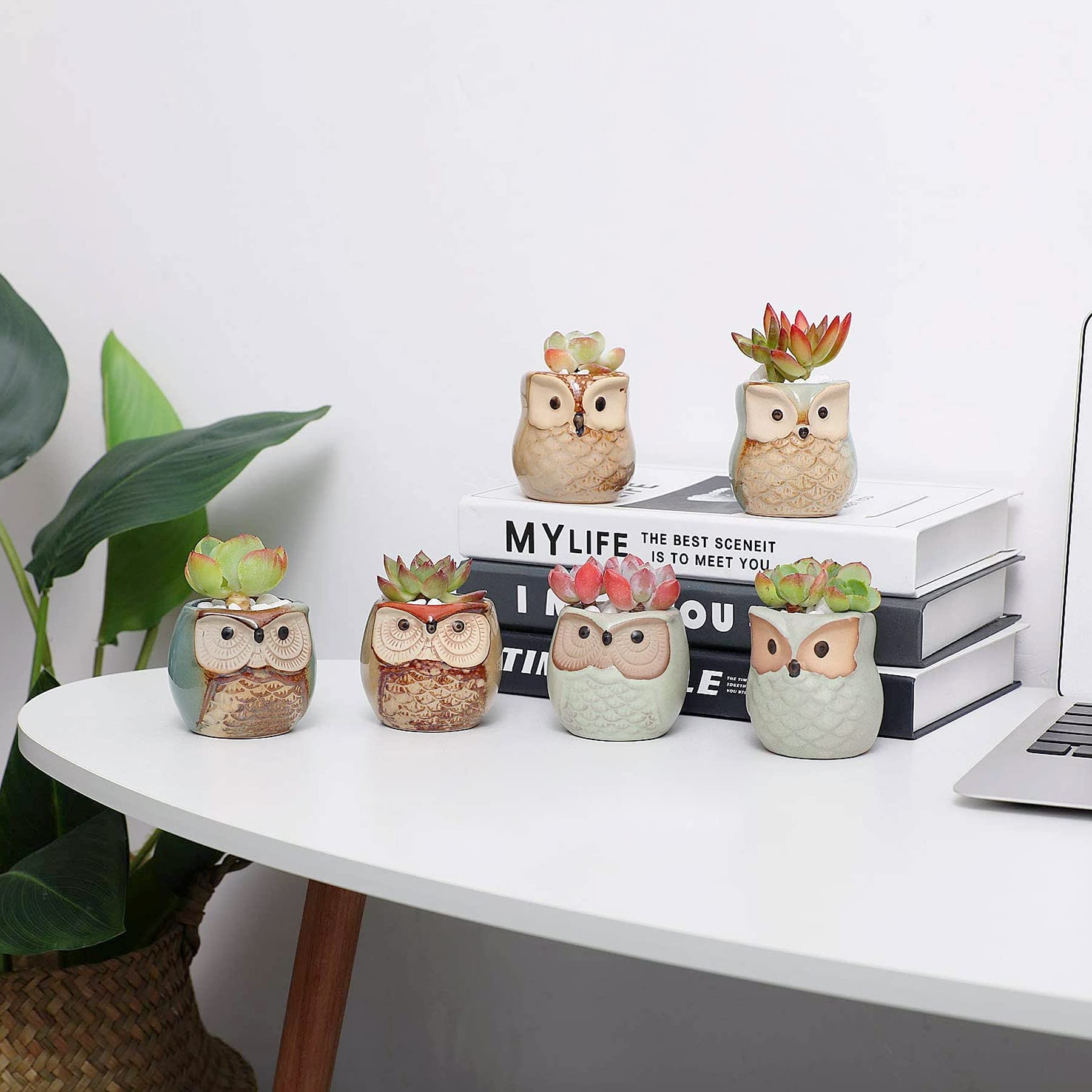 T4U owl-pattern motif D — versatile gift-ready option.