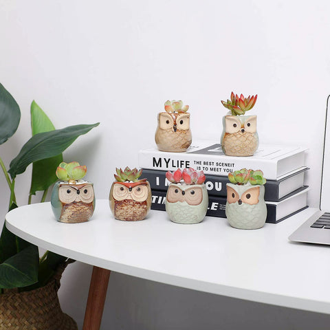 T4U owl-pattern motif D — versatile gift-ready option.