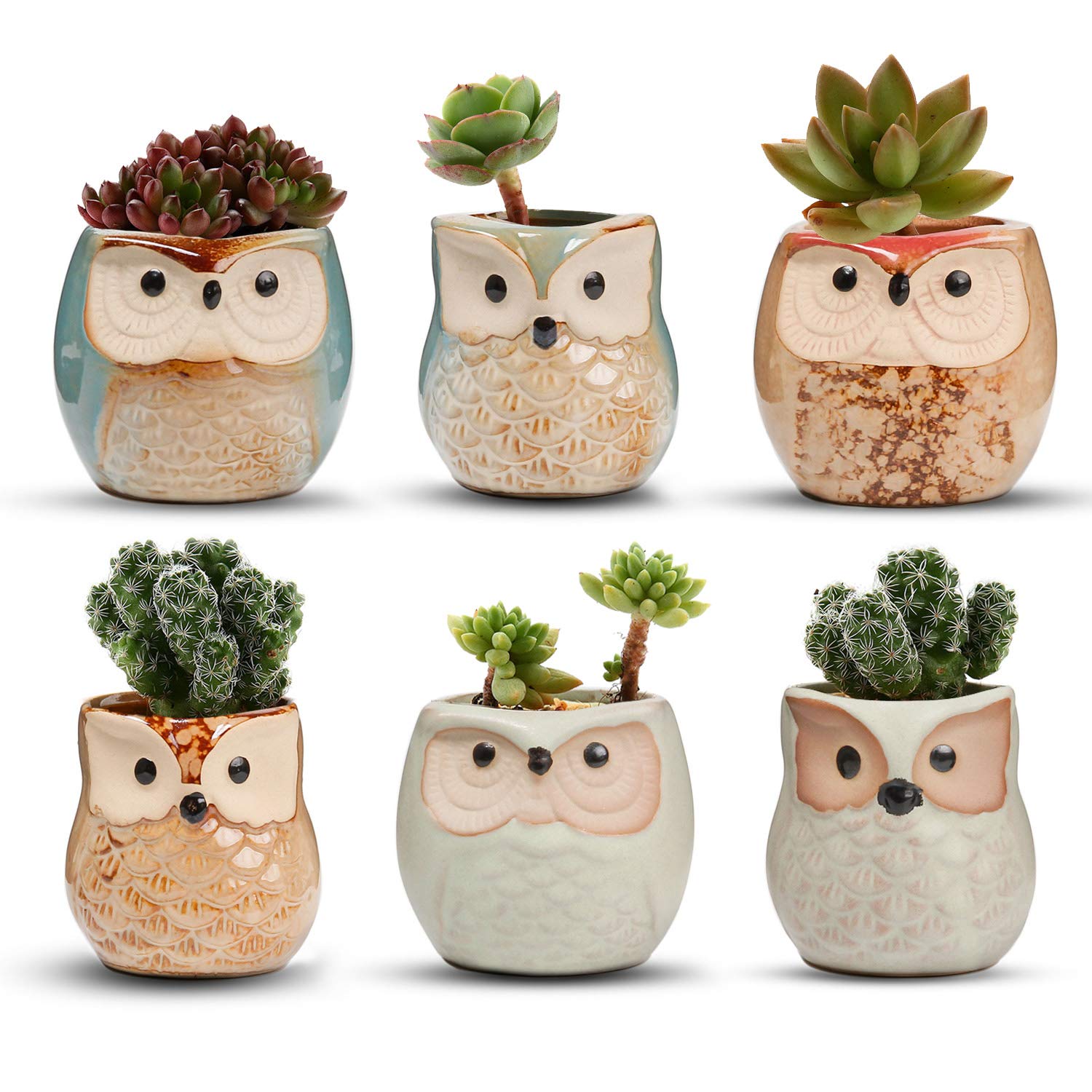 T4U owl planter six-pack with durable ceramic glaze for home décor.