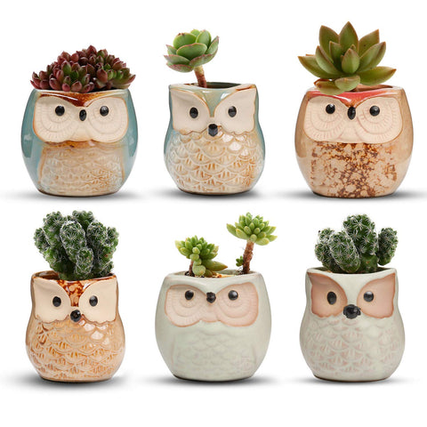 T4U owl planter six-pack with durable ceramic glaze for home décor.