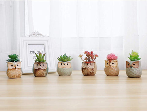 T4U owl planter glossy glaze finish for easy cleaning.