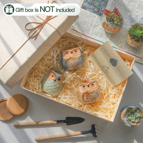 T4U owl planter on office desk for decor and organization.