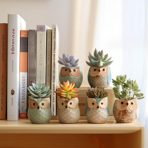 T4U owl planter on windowsill enhances small-space charm.