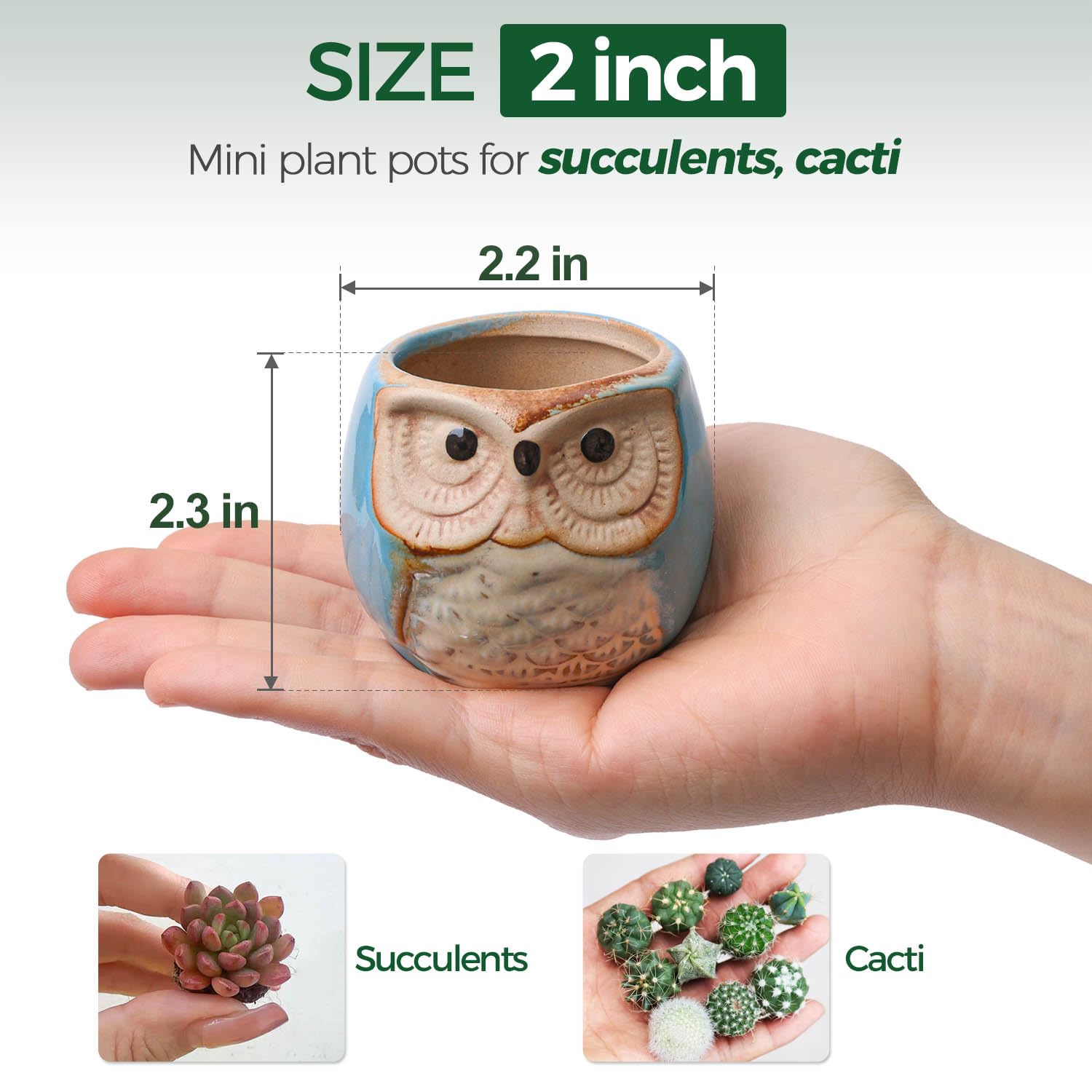 T4U owl pot close-up glaze showing smooth ceramic finish for easy cleaning.