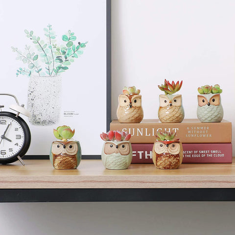 T4U owl pot gift-ready packaging — ready for gifting occasions.