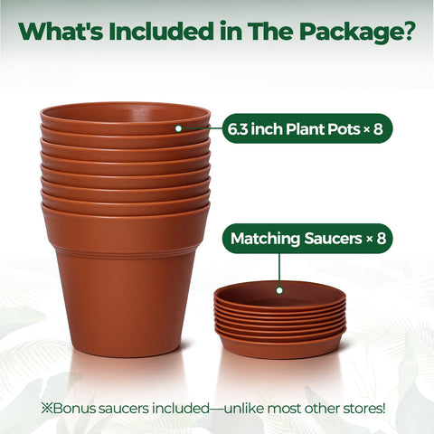 T4U bulk plant display set ideal for herbs and succulents.