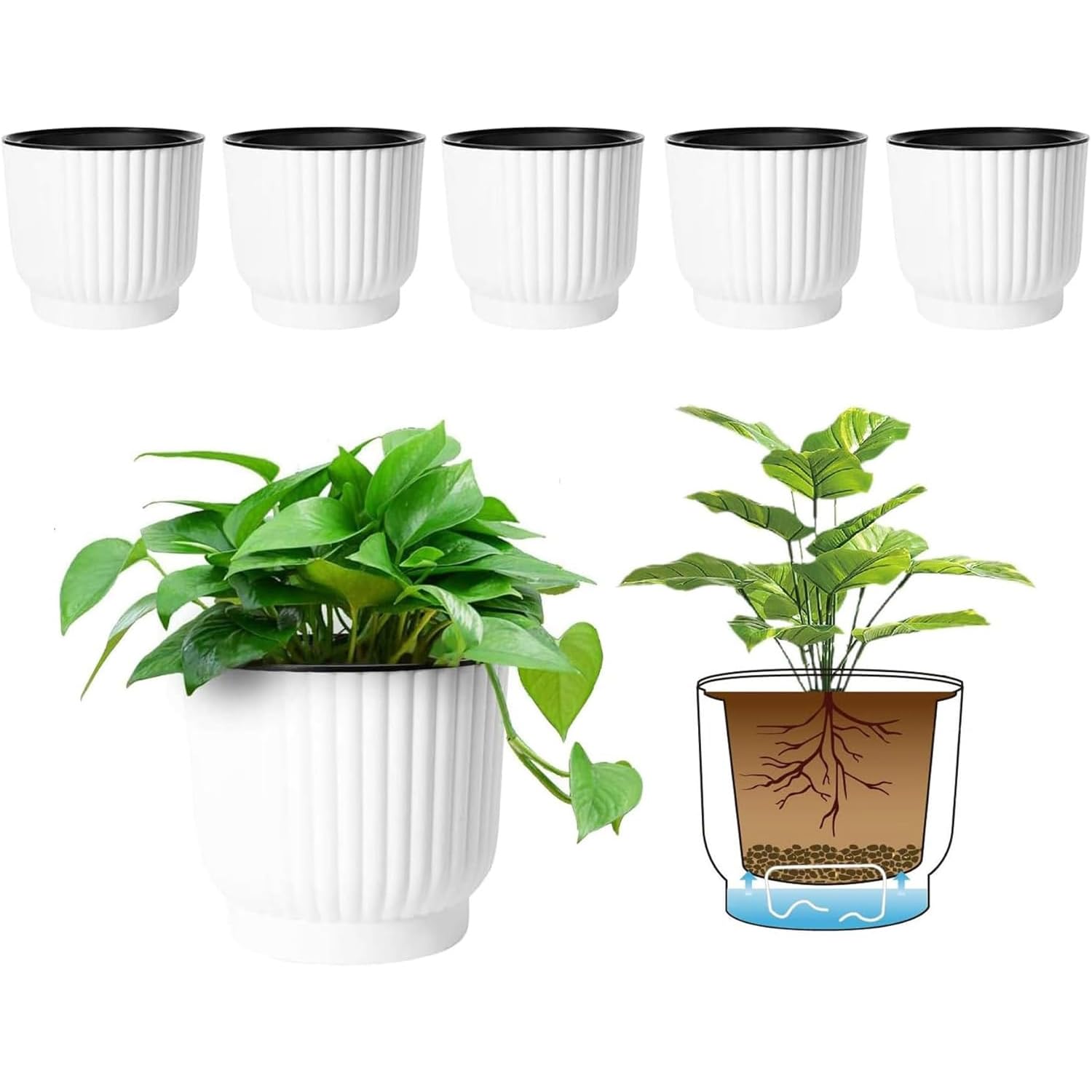 T4U self-watering 4.5-inch pot with reservoir for easy care.