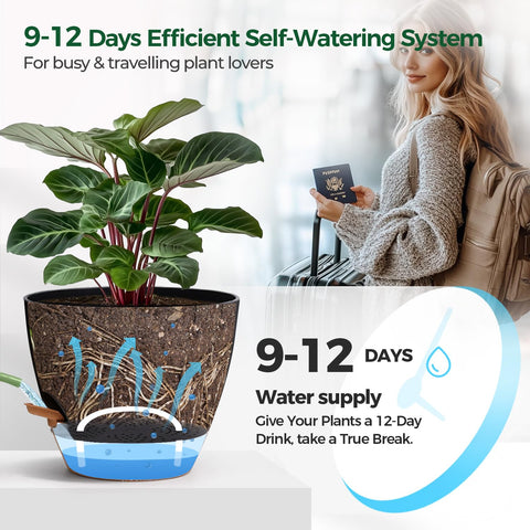 T4U 12-inch self-watering pot supporting big plants and bold foliage