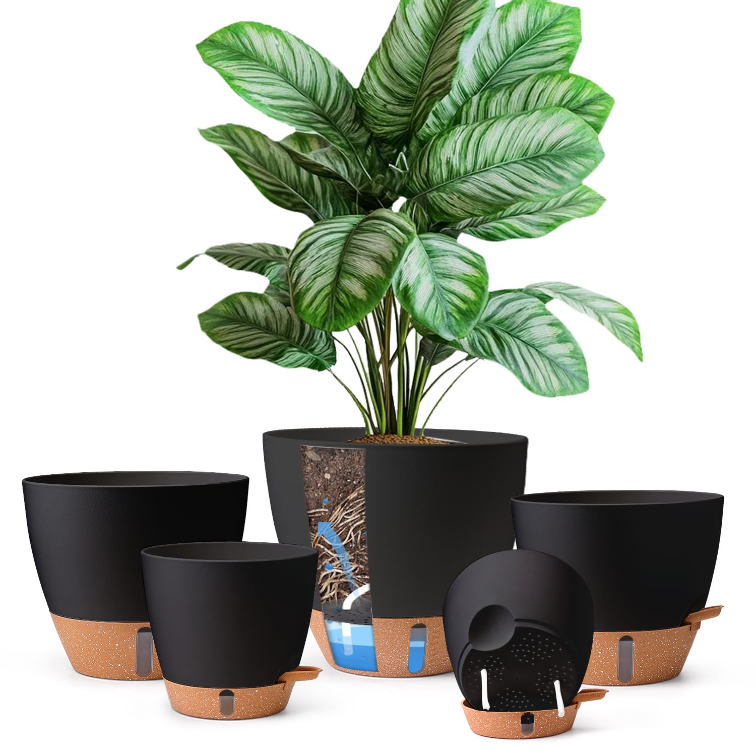 T4U self-watering pot 6-inch with clear level indicator for herbs
