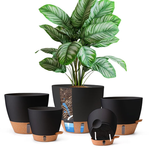 T4U self-watering pot 6-inch with clear level indicator for herbs