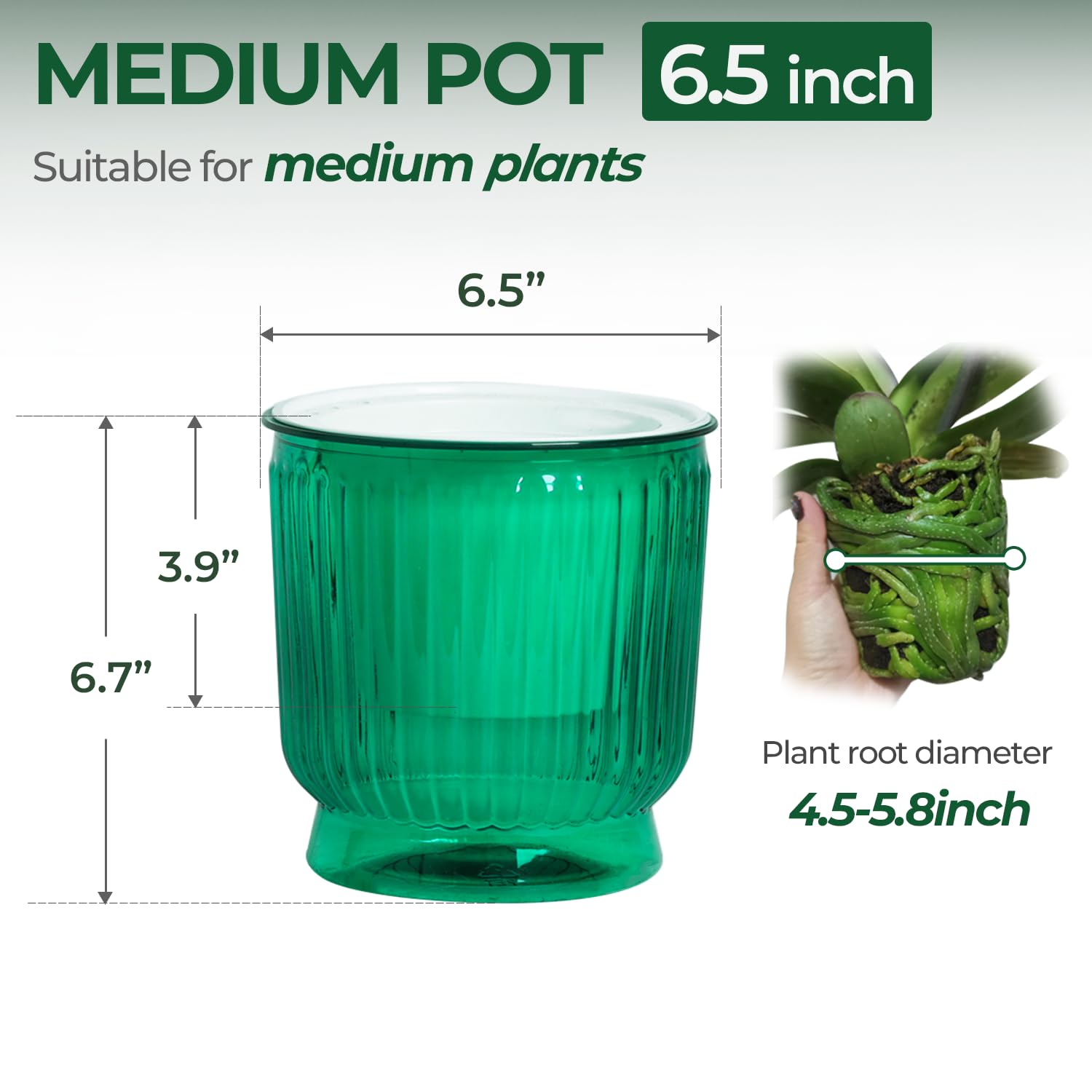 T4U self-watering pot with water level indicator helps monitor hydration.