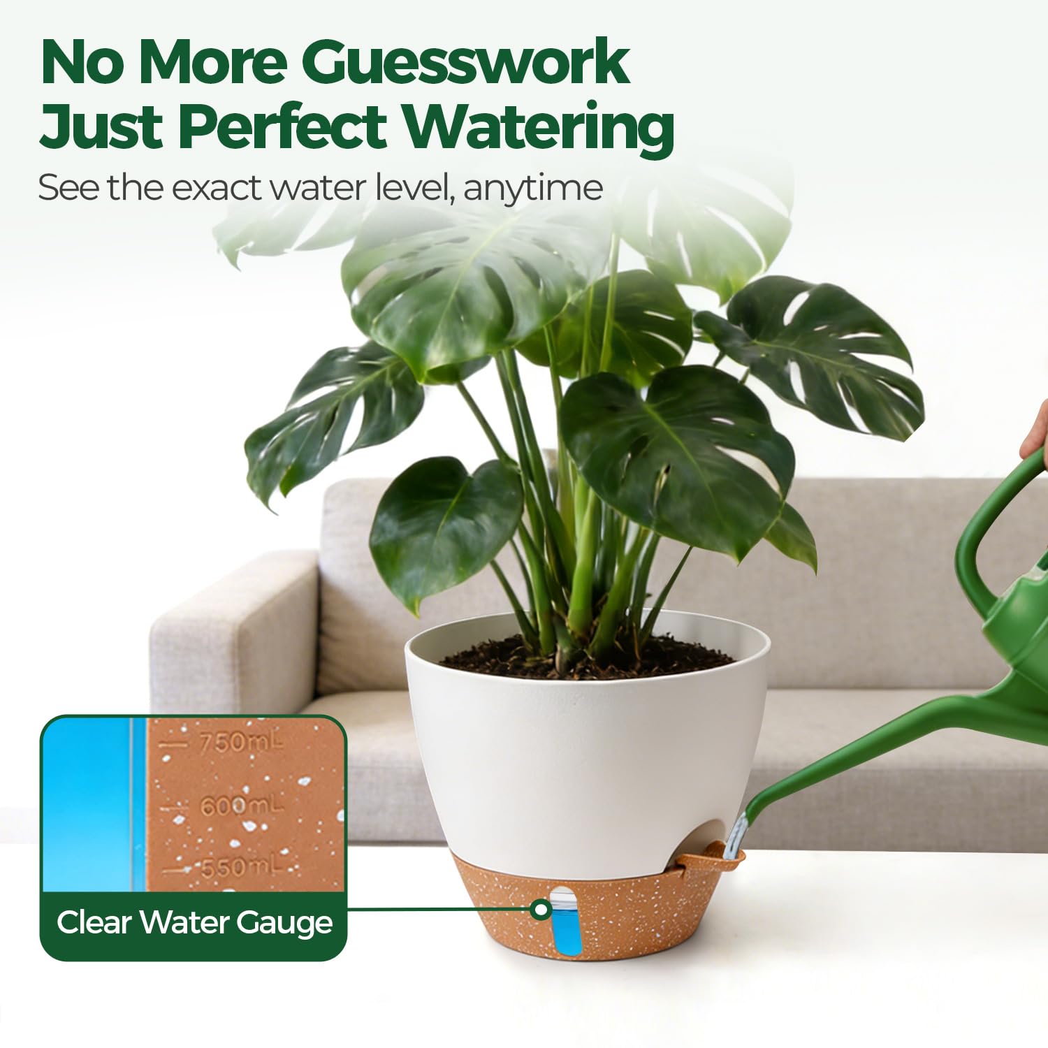 T4U 10-inch pot for larger plants like Fiddle Leaf Fig