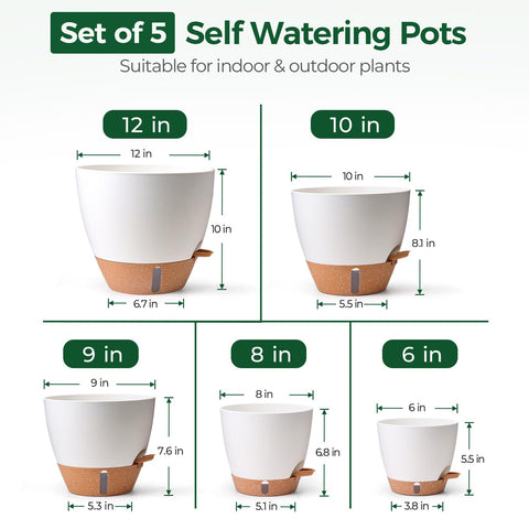 T4U 6-inch self-watering pot ideal for herbs and compact greenery