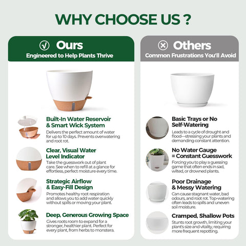 T4U 8-inch self-watering pot perfect for pothos and spider plants