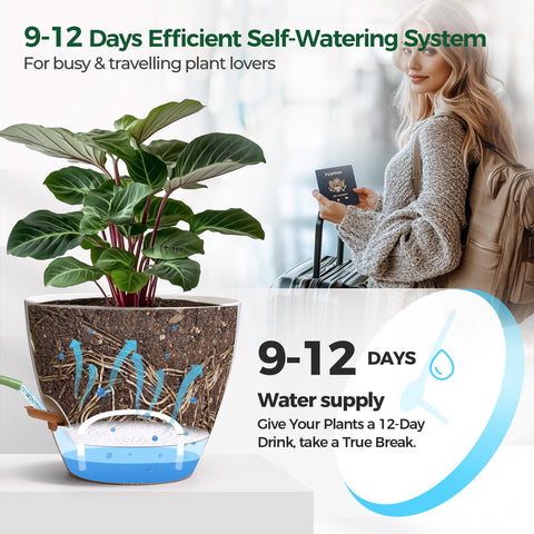 T4U 9-inch self-watering pot for ZZ Plant or Peace Lily