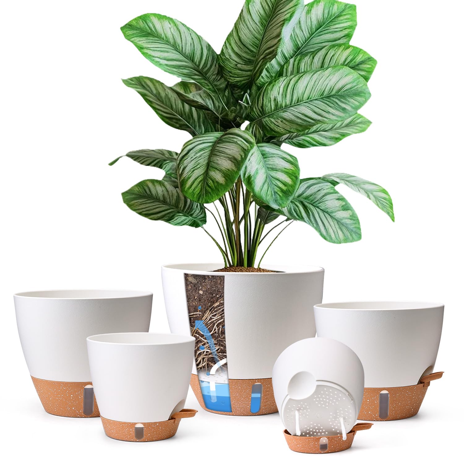 T4U self-watering pots with water level indicator simplify plant care