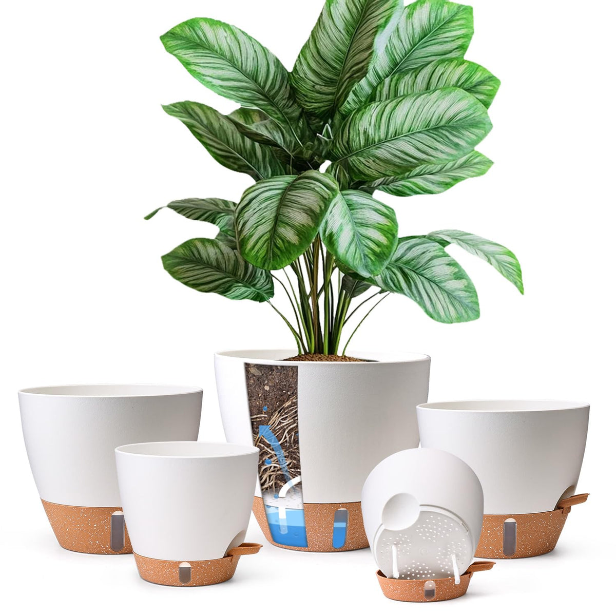 T4U self-watering pots with water level indicator simplify plant care