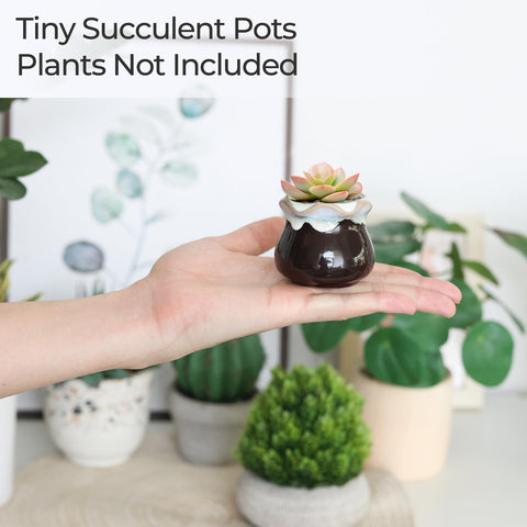 T4U pots offer color variety to complement any room style.