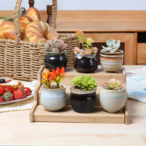 T4U drainage-enabled pots help prevent overwatering in compact spaces.