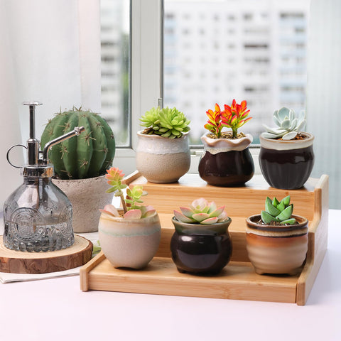 T4U office-desk setup with these pots adds a neat, modern touch.