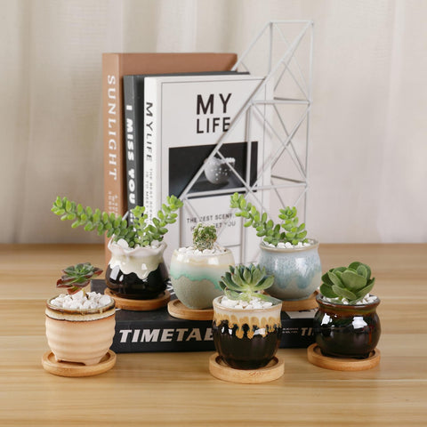 T4U ceramic pots arrive ready for gifting with sturdy packaging.
