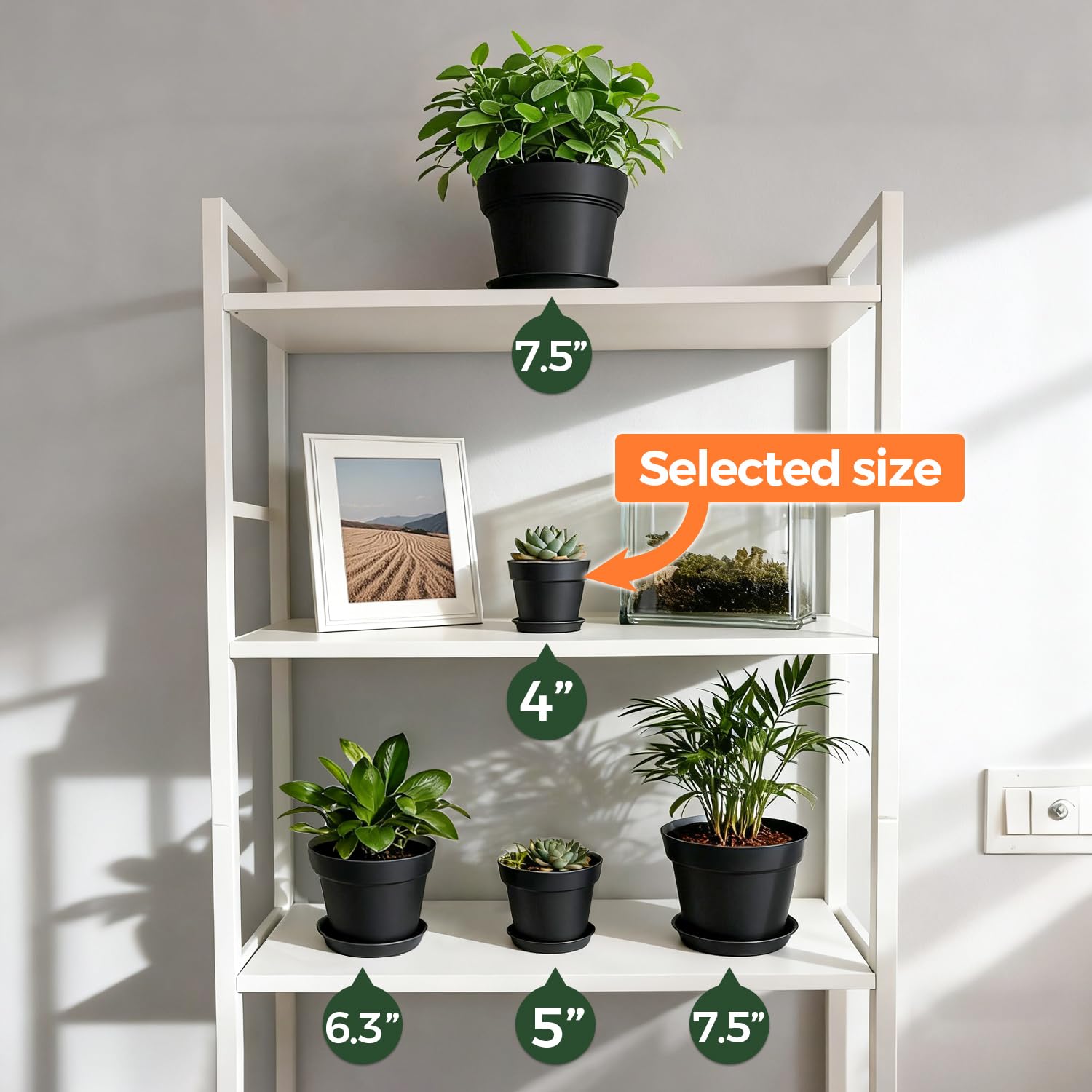 T4U succulent and herb pots display stylishly for easy care.