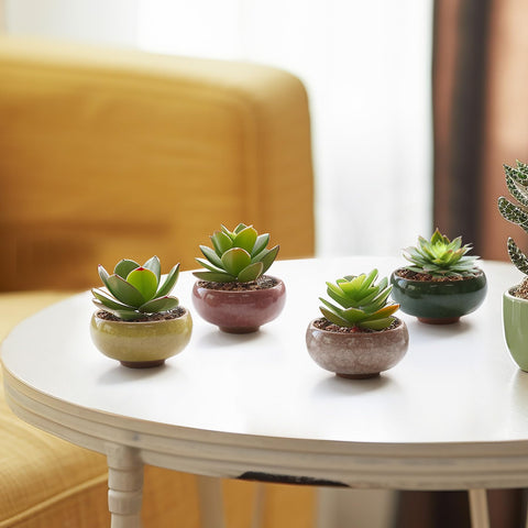 T4U ice crack glaze pot enhances windowsill display.