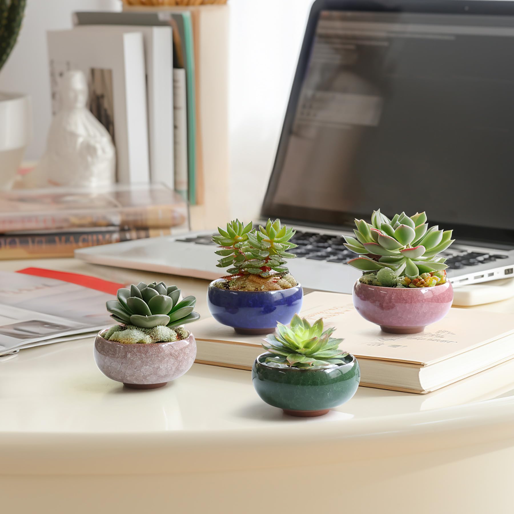 T4U compact planters fit desks and small spaces.