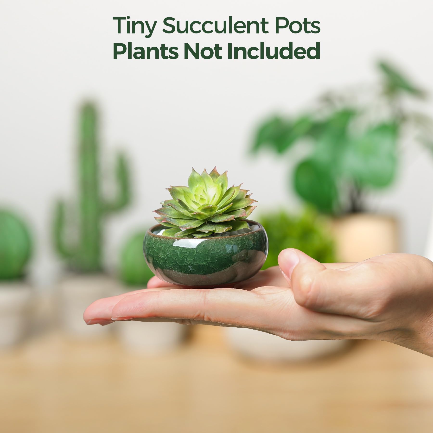 T4U ceramic pot for cacti and tiny greenery on a shelf.