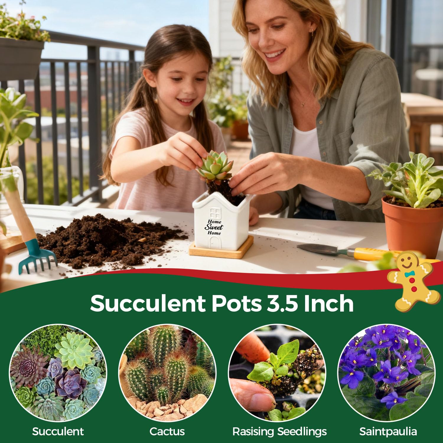 T4U succulent pot with drainage hole for easy watering