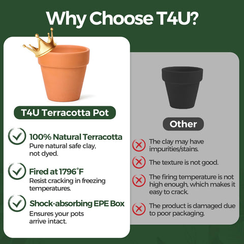 T4U terracotta pot with leak-proof plastic saucer for mess-free setup