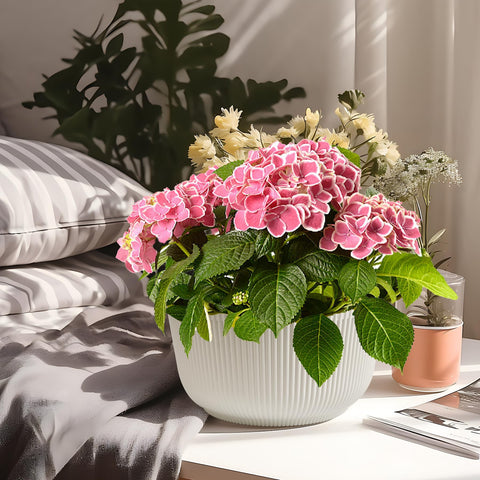 T4U urban living setup featuring self-watering planters.