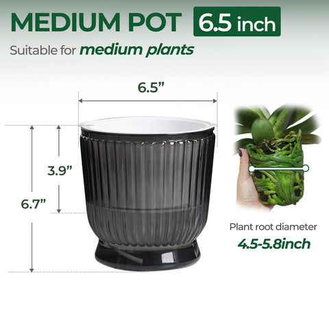 T4U water level indicator on a PET pot helps track moisture.