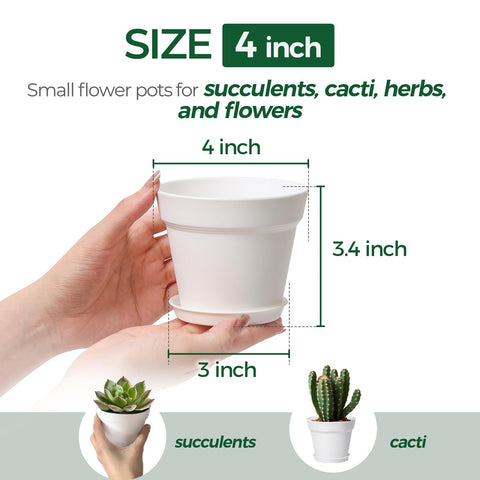 T4U white 4-inch plant pot showing drainage holes for healthy roots.