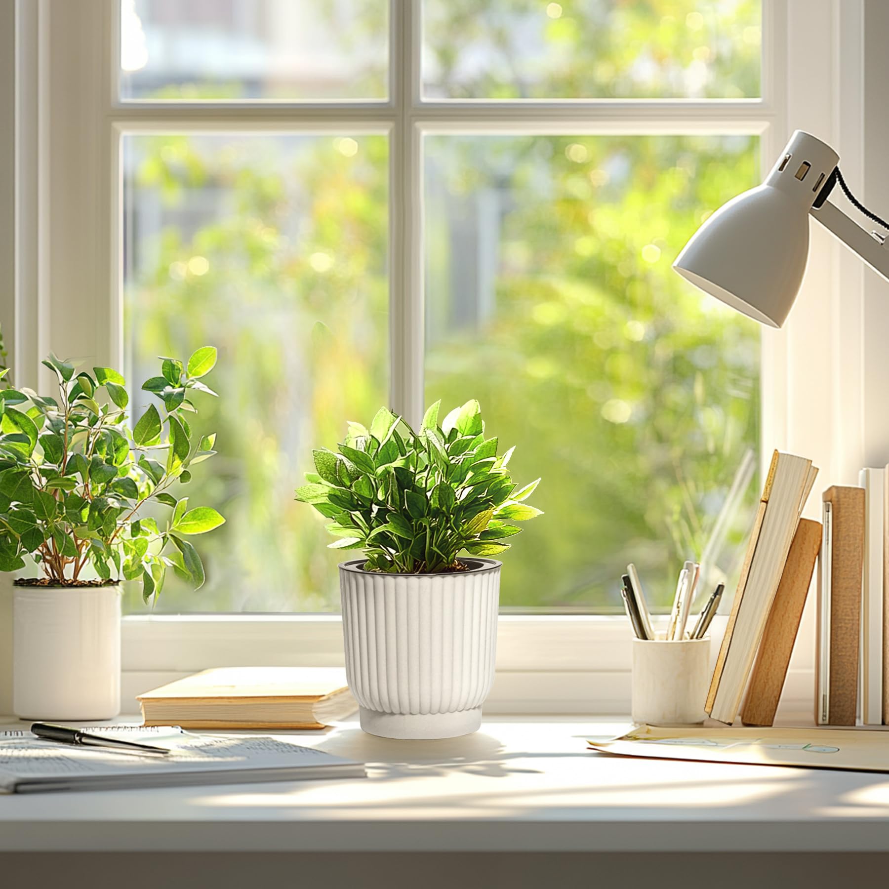 T4U white indoor pot suitable for office or living areas.