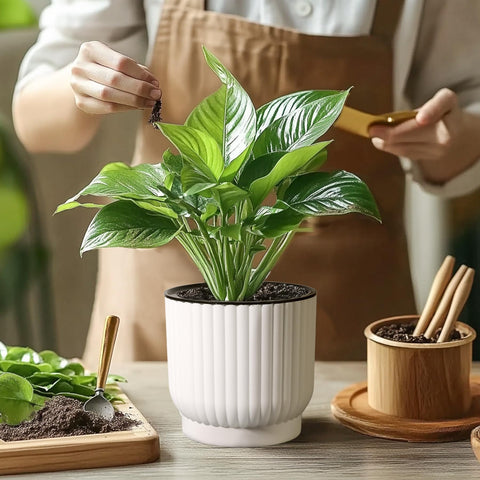 T4U white self-watering pot protects plant health during busy weeks