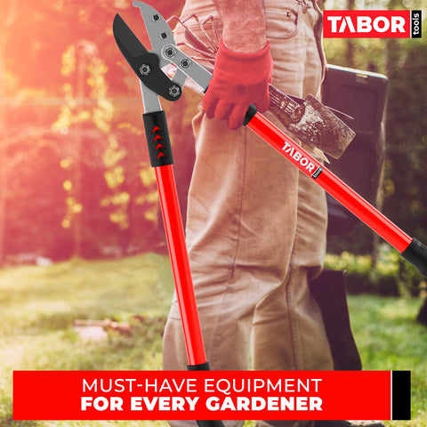 TABOR TOOLS GG12A 2-inch cutting capacity enables precise removal of thick limbs.