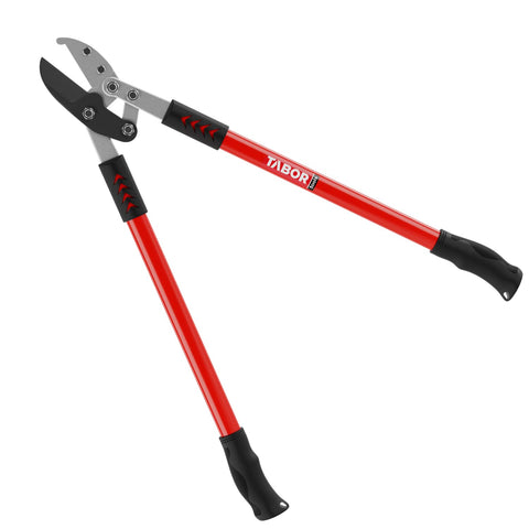 TABOR TOOLS GG12A anvil lopper demonstrates clean, powerful cuts for thick branches.