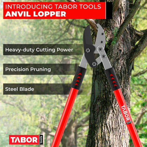 TABOR TOOLS GG12A compound action offering effortless leverage for quick pruning.