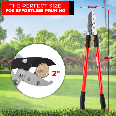 TABOR TOOLS GG12A hardened carbon steel blade stays sharp under heavy pruning.