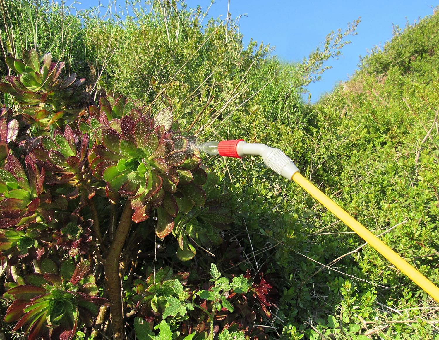 TABOR TOOLS lightweight sprayer eases gardening tasks and wrist fatigue.