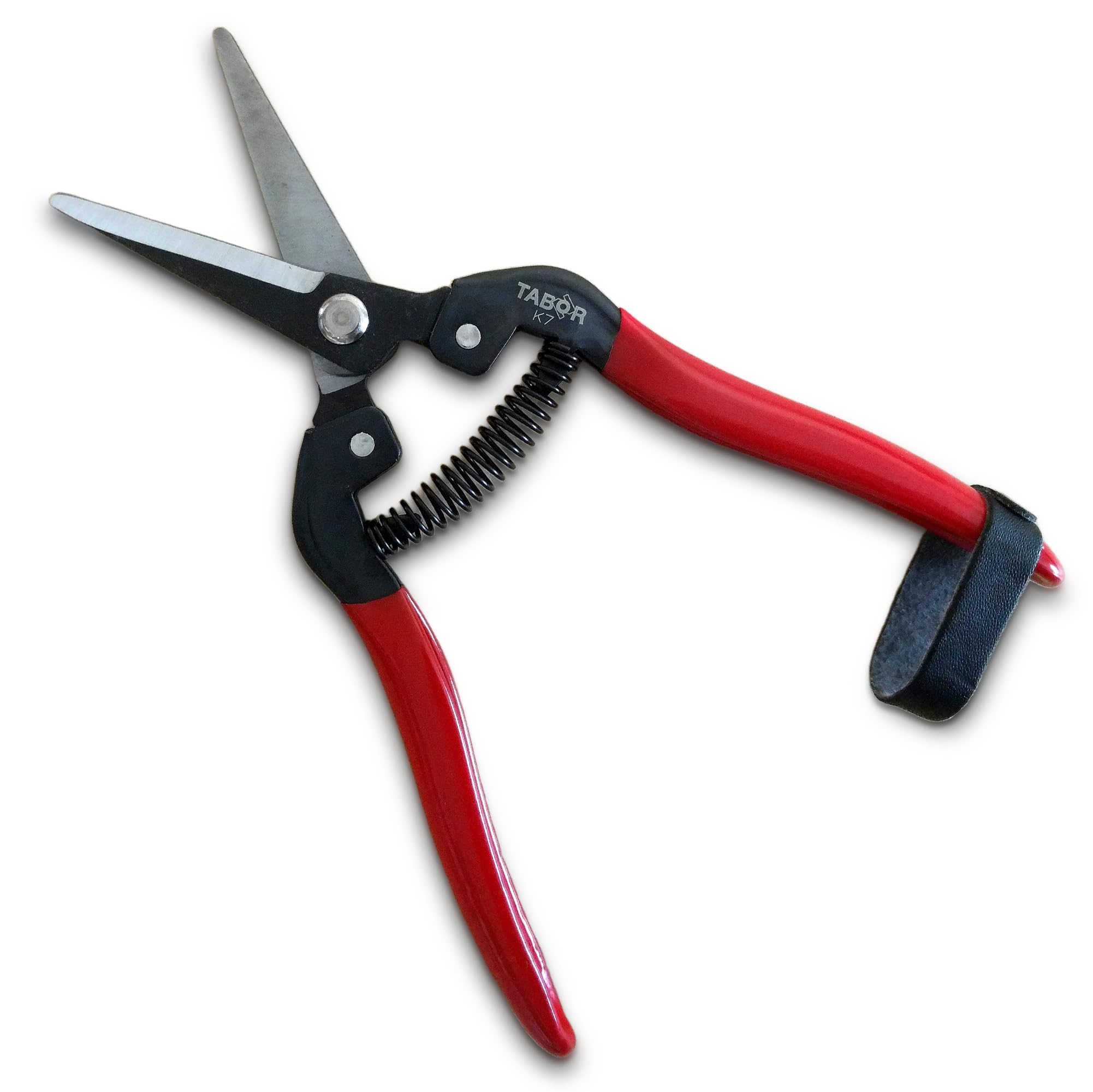 TABOR TOOLS K7A long blade close-up for precise flower trimming.