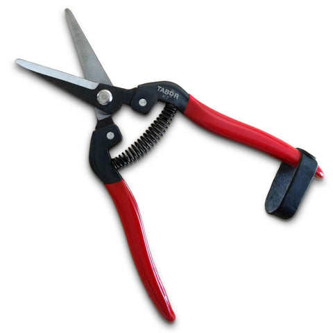 TABOR TOOLS K7A long blade close-up for precise flower trimming.
